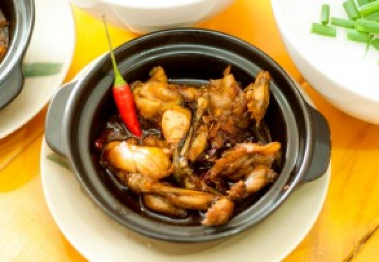 Ếch kho tộ